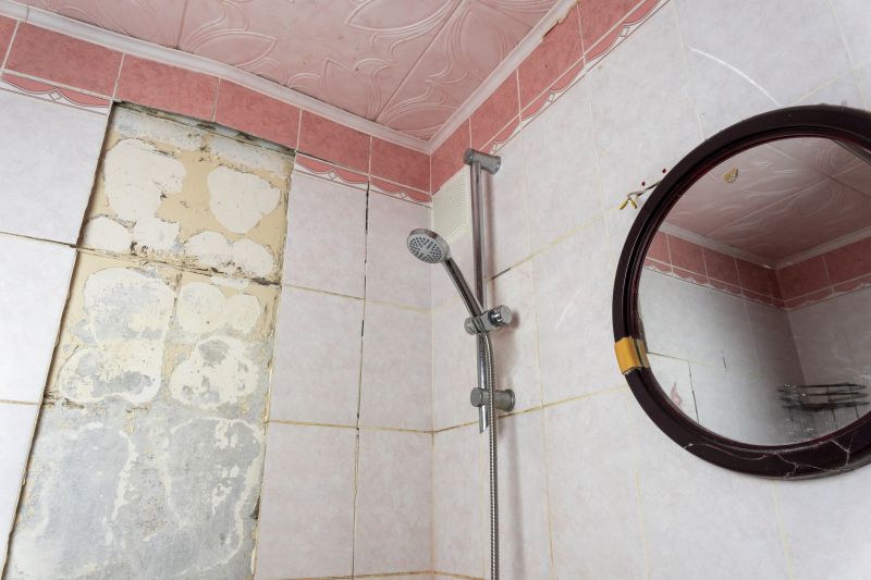 Top Shower Remodeling Companies in Mesquite, TX